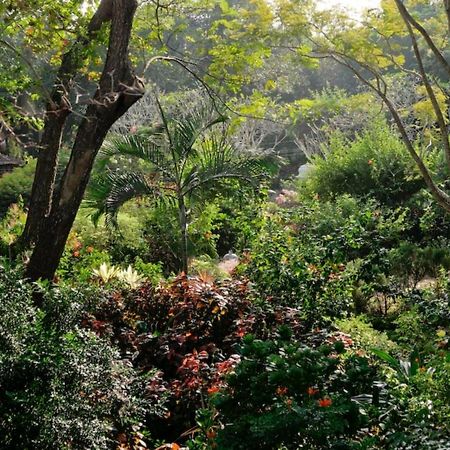 אורוויל Gaia'S Garden Guest House מראה חיצוני תמונה