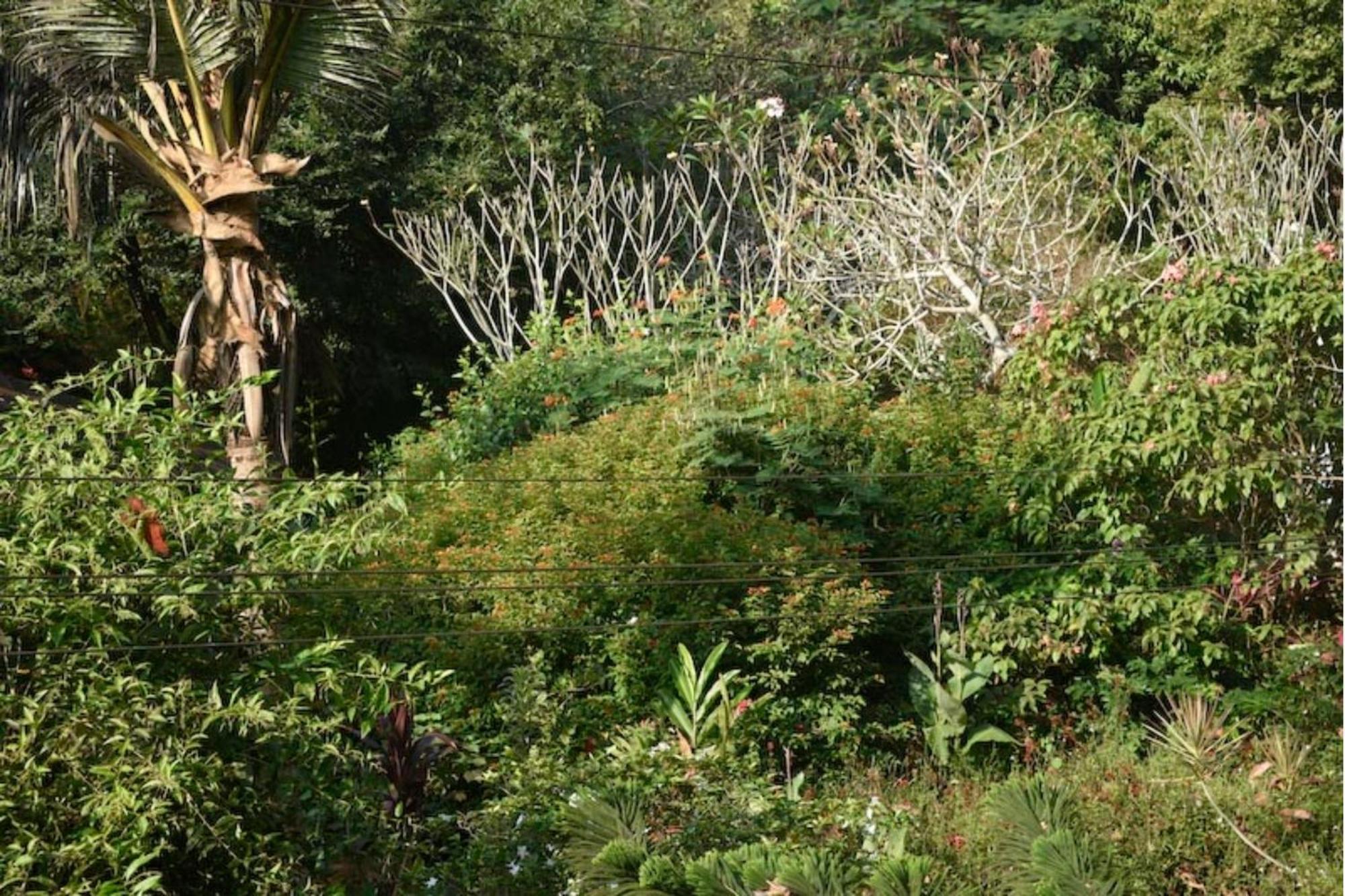 אורוויל Gaia'S Garden Guest House מראה חיצוני תמונה