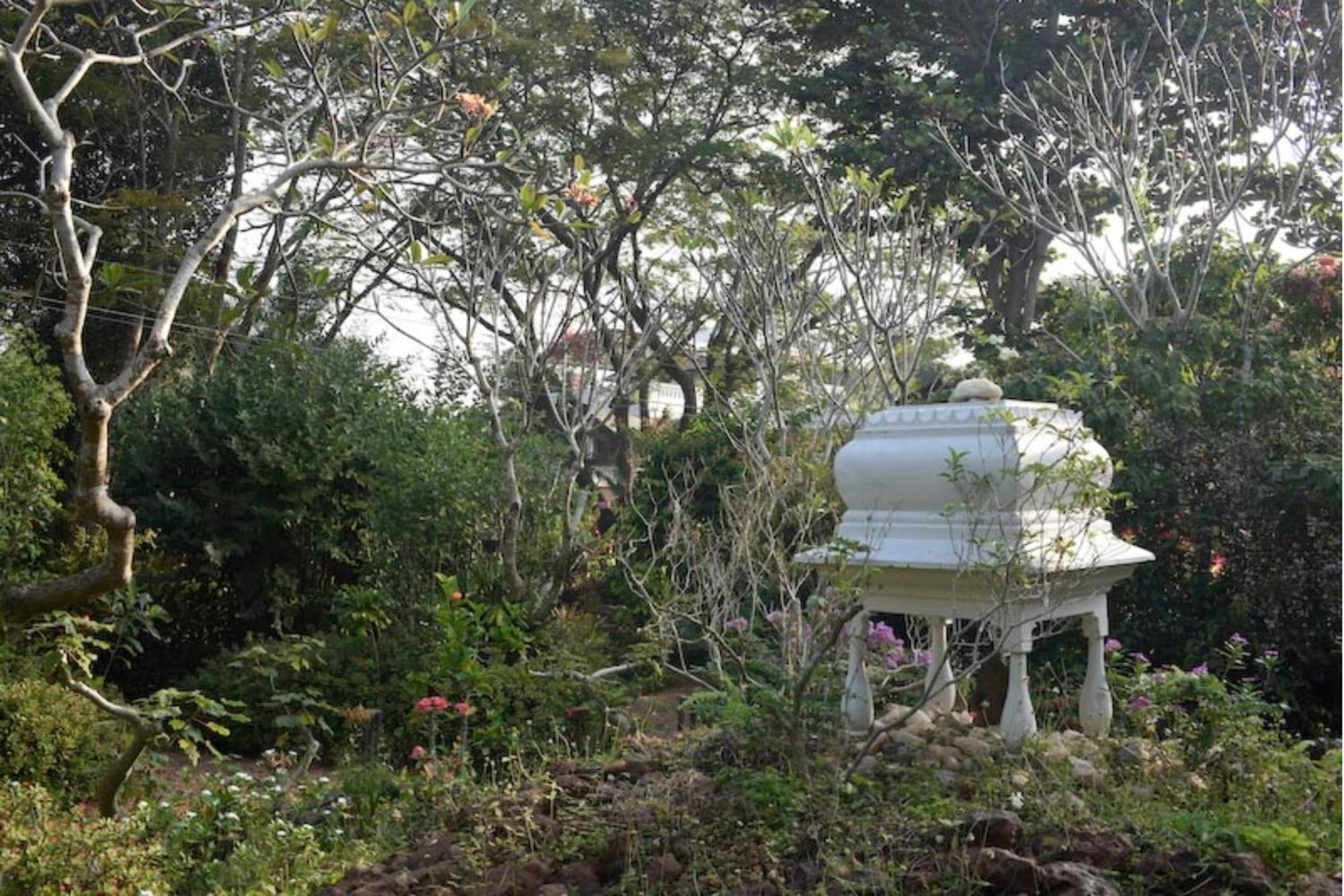 אורוויל Gaia'S Garden Guest House מראה חיצוני תמונה