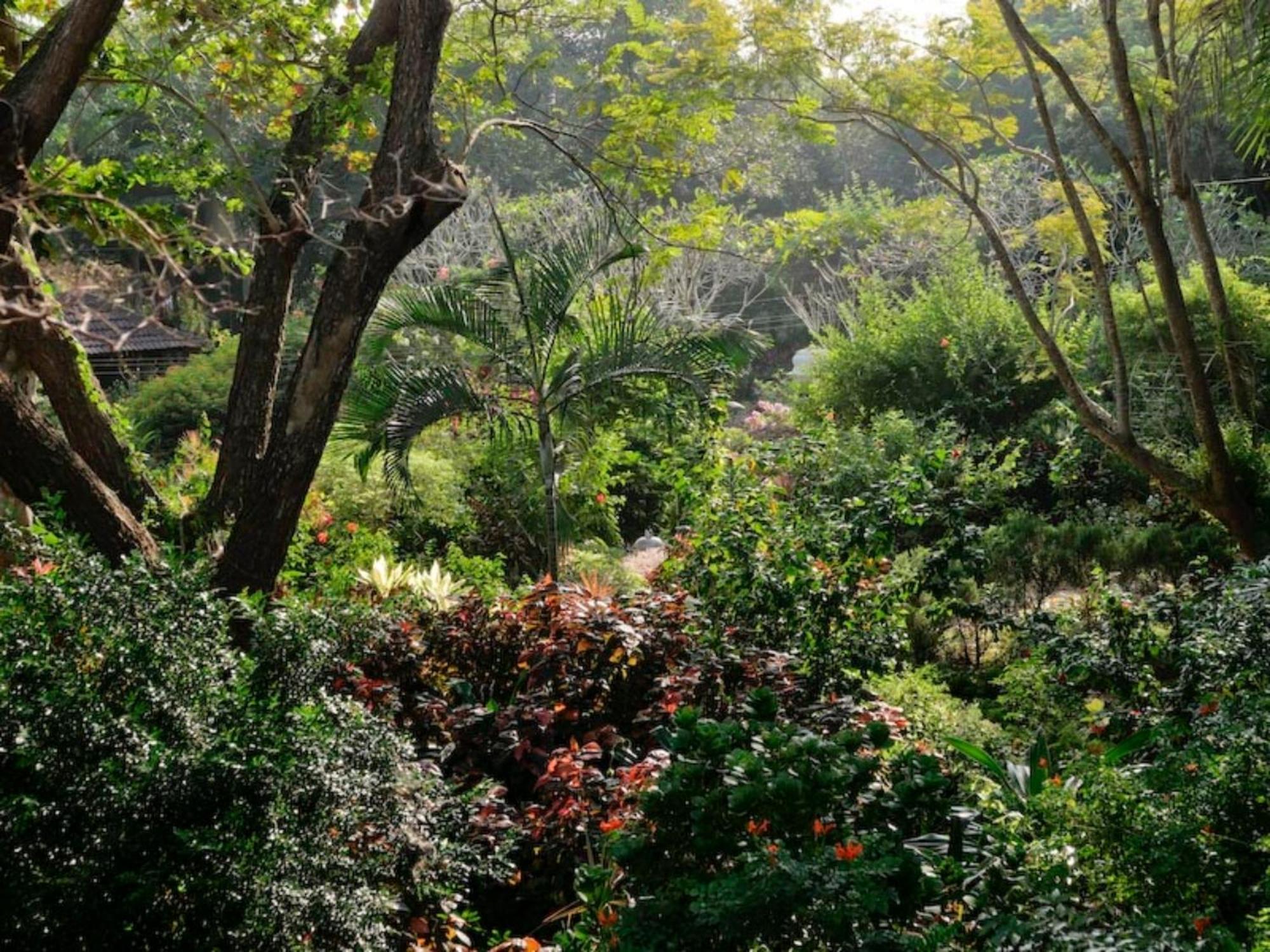 אורוויל Gaia'S Garden Guest House מראה חיצוני תמונה