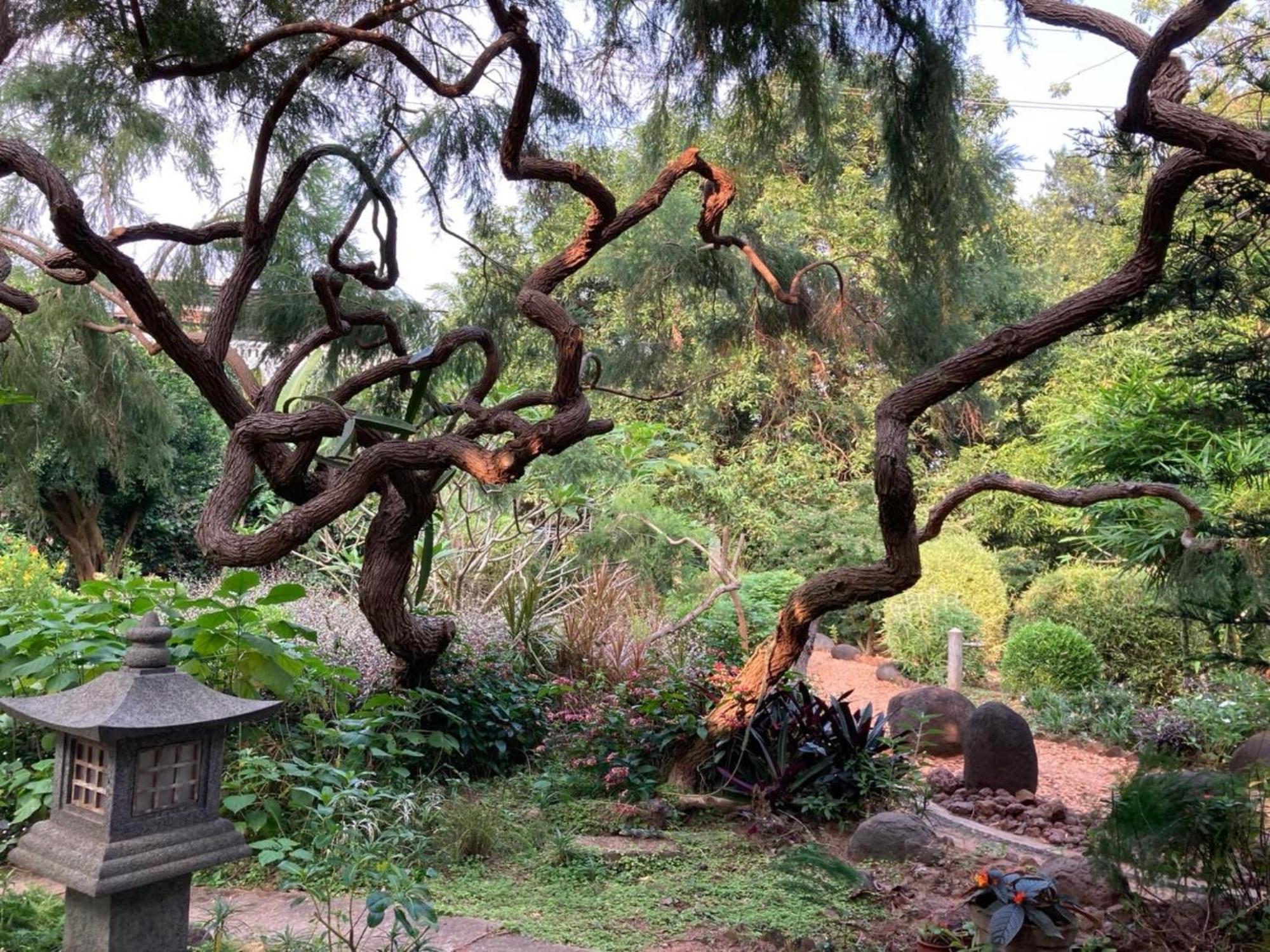 אורוויל Gaia'S Garden Guest House מראה חיצוני תמונה